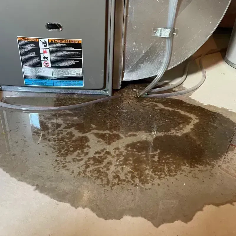 Appliance Leak Cleanup in Murillo Colonia, TX